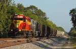 FEC 703